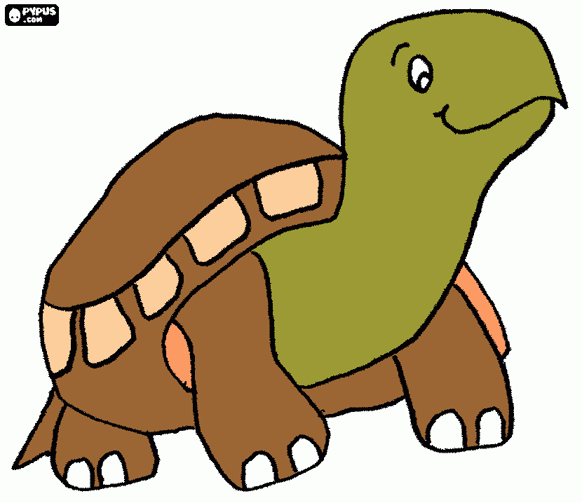 Tartaruguiha do amor para colorir e imprimir