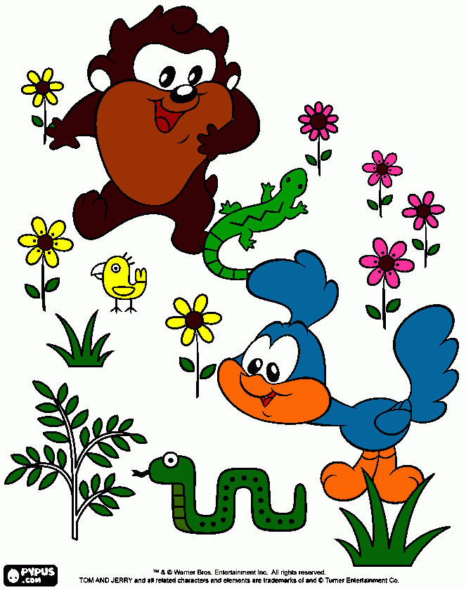 taz e papalegua para colorir e imprimir