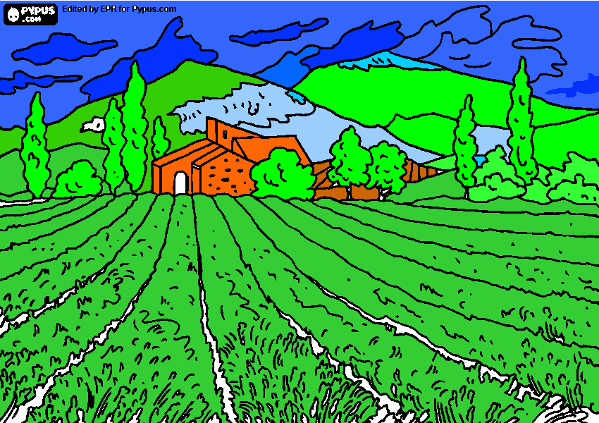 tia eu fiz esse desenho muito legal que vc pediu para colorir e imprimir