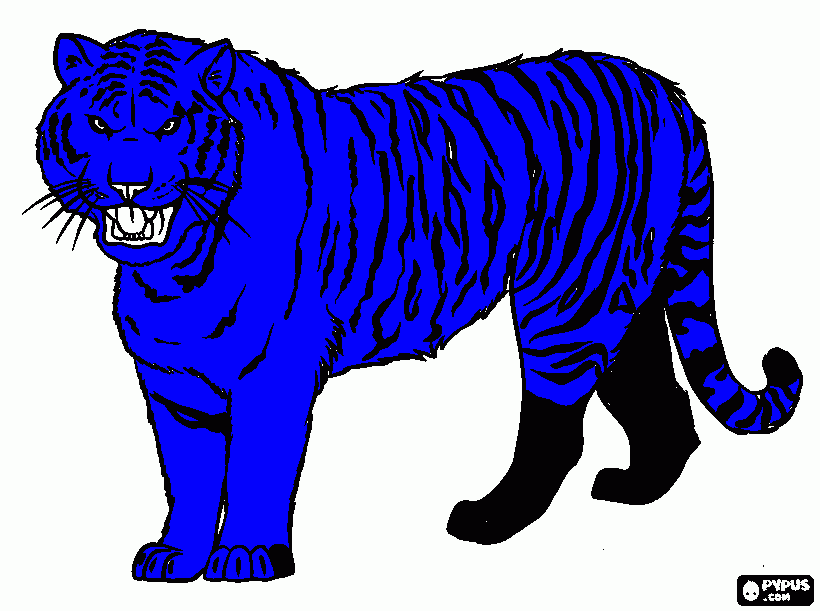 tigre azul preto e branco para colorir e imprimir