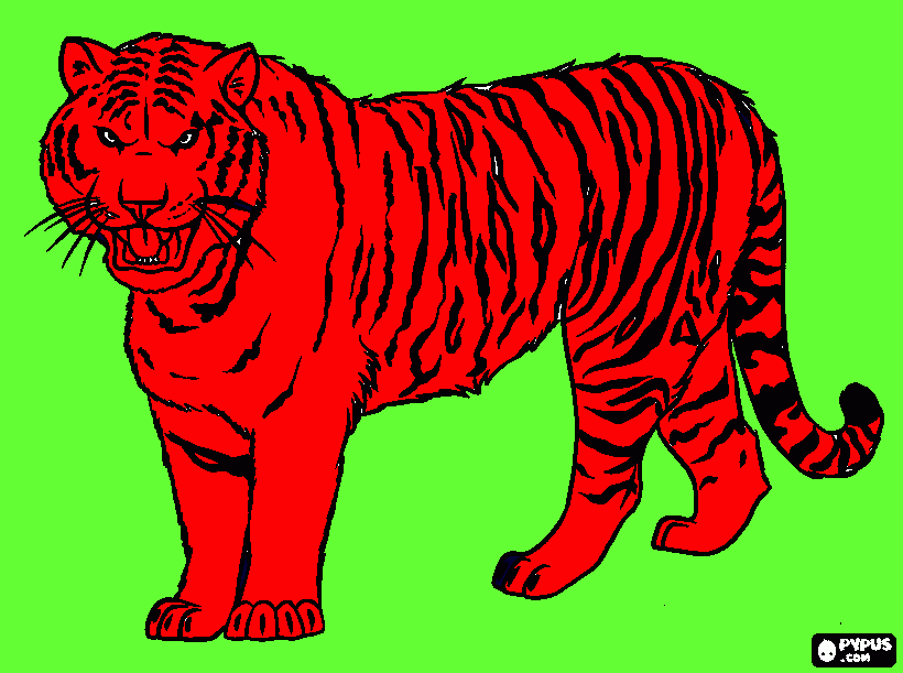 tigre de chamas para colorir e imprimir
