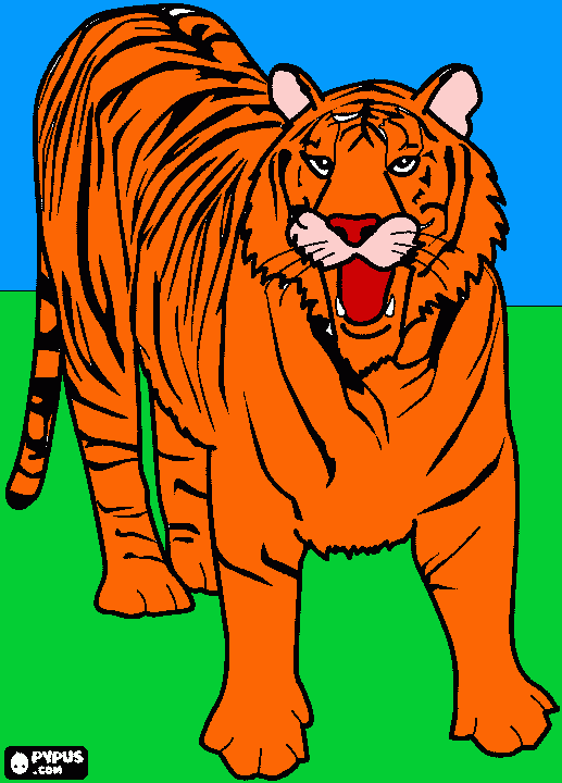 Tigre papai para colorir e imprimir
