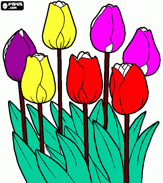 tipos de flores para colorir e imprimir