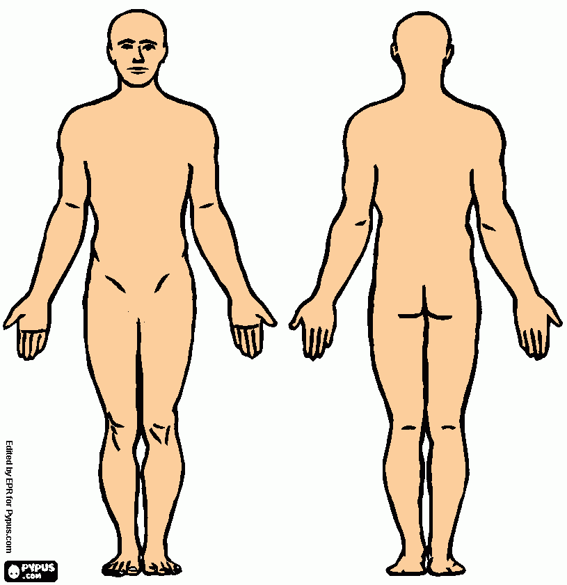 trabalho de biologia para colorir e imprimir