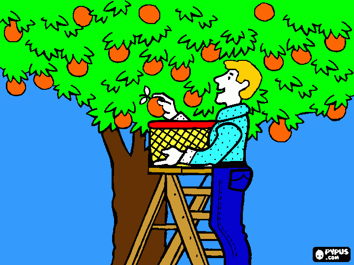 trabalho de geografia para colorir e imprimir