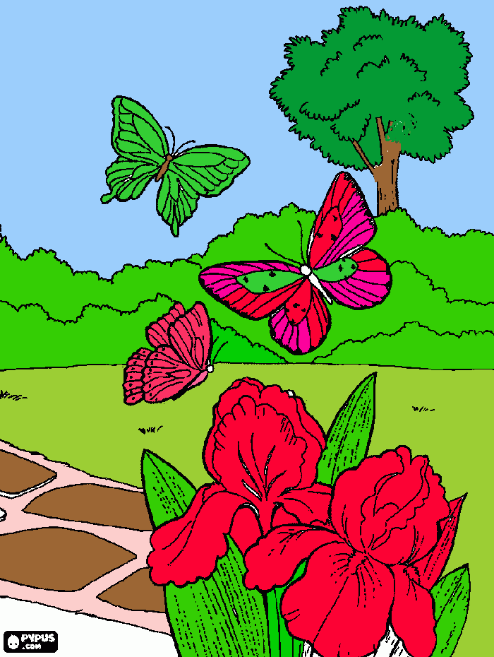 tres borboletas para colorir e imprimir