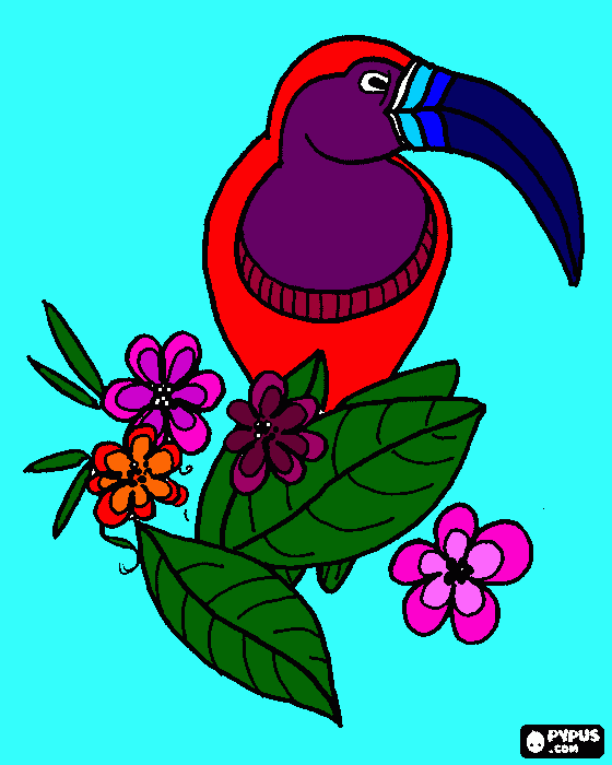 tucano de bico verde para colorir e imprimir