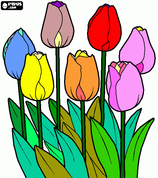 tulipas com amor para colorir e imprimir