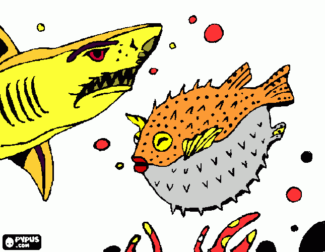 tutubarão e baiacu para colorir e imprimir