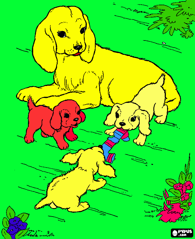 um au au  para colorir e imprimir