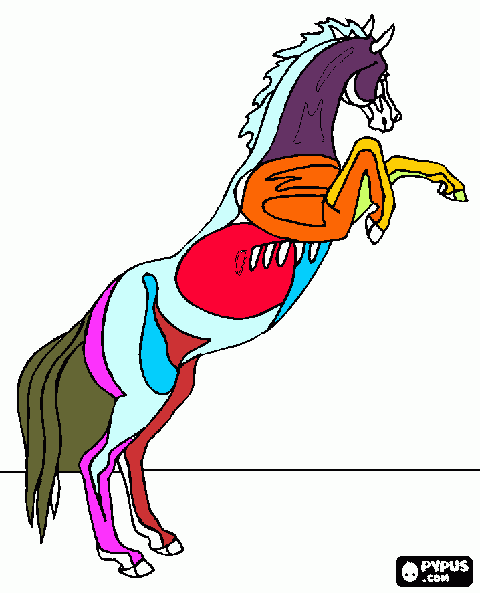 um cavalo meio esqueleto para colorir e imprimir