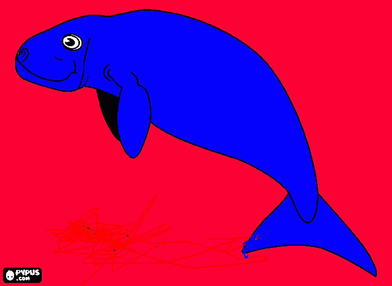 um dugongo colorido para colorir e imprimir