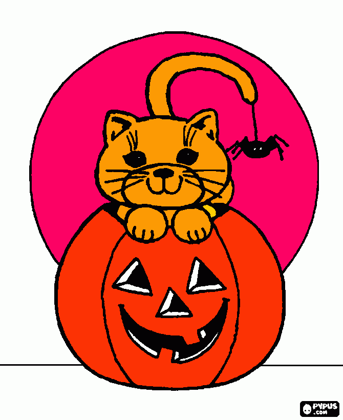 um lindo gato para colorir e imprimir