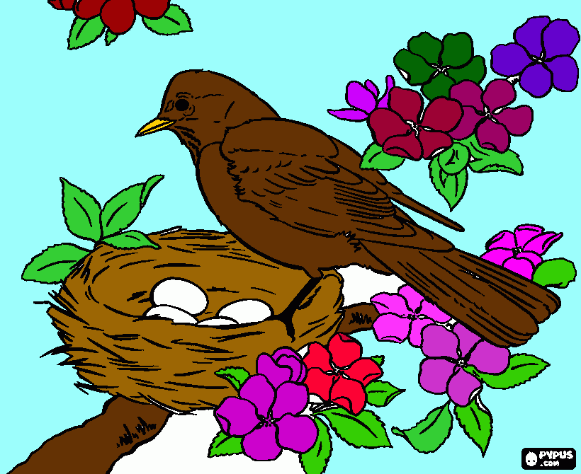 um passarinho com rosas  para colorir e imprimir