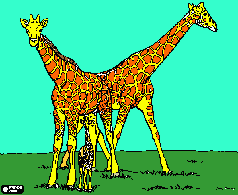uma família de girafas e um bebe girafa para colorir e imprimir