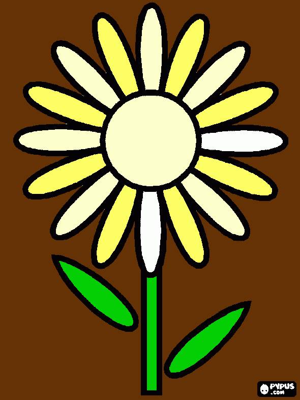 uma margarida para colorir e imprimir