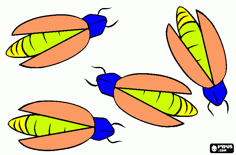 VAGA LUME COLORIDO para colorir e imprimir