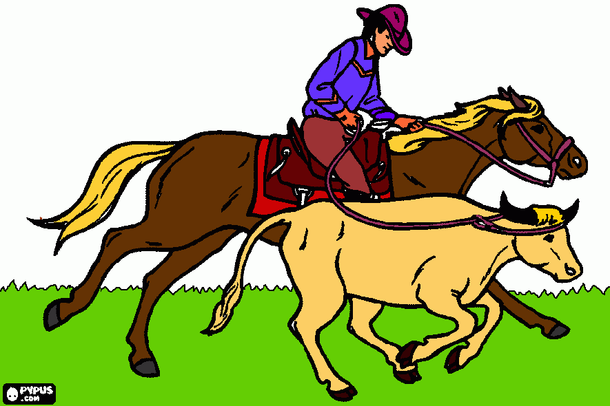 vaqueiro laçando boi para colorir e imprimir