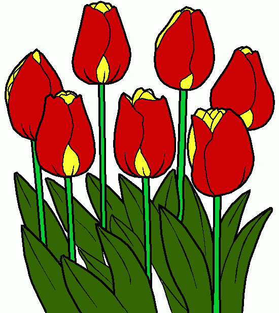 varias rosas com amor para colorir e imprimir