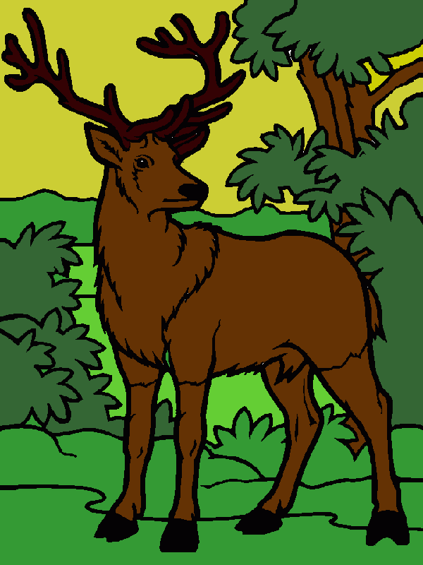 viado para colorir e imprimir