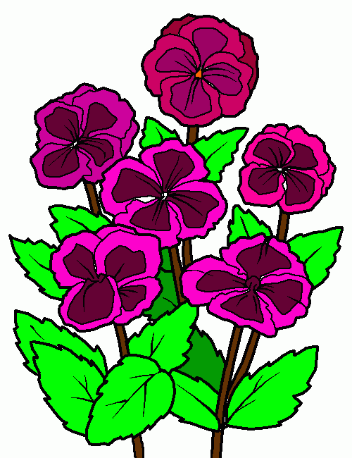 violeta para colorir e imprimir