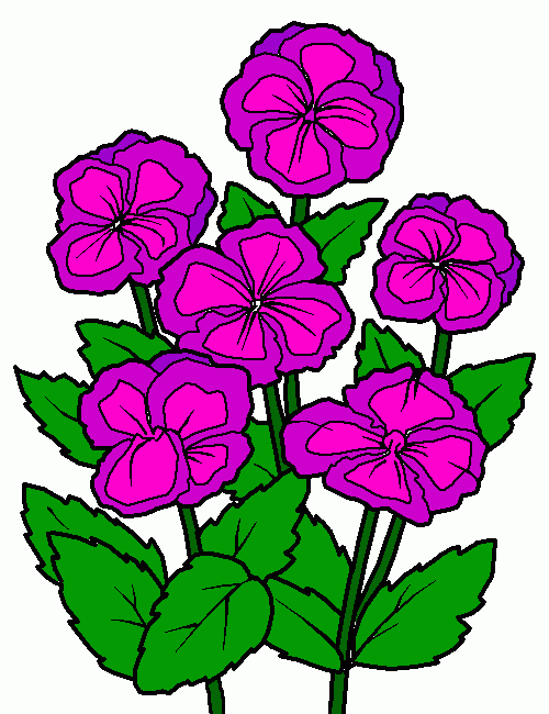 Violetas para colorir e imprimir