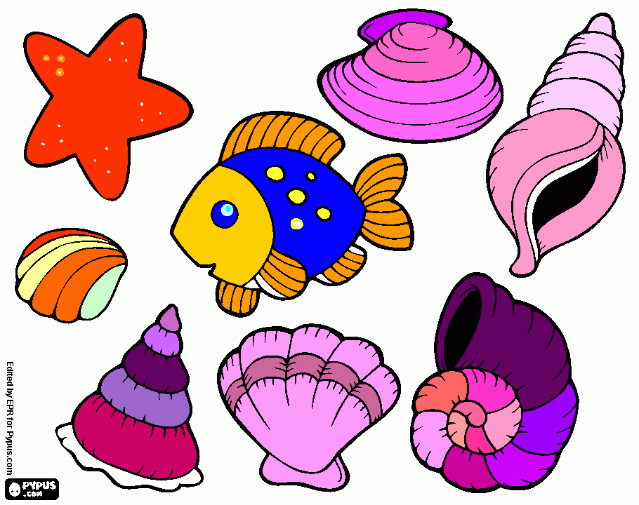 Vários Animais Marinhos para colorir e imprimir