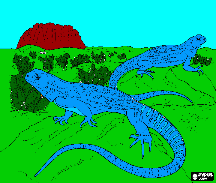 watter dragons para colorir e imprimir