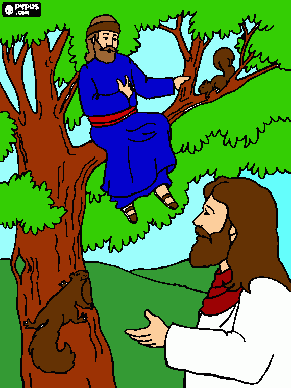 zaqueu fala com jesus na arvore para colorir e imprimir