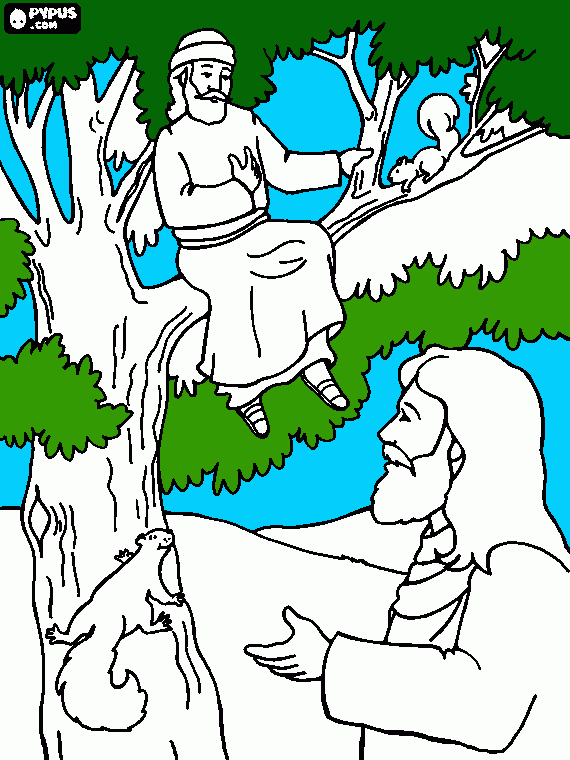 zaqueu na árvore  para colorir e imprimir