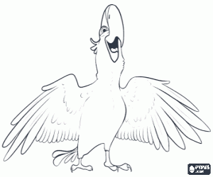 desenho de A arara Blu, do filme Rio para colorir