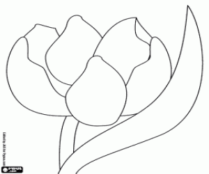 desenho de A bela flor da Thumbelina, Polegarzinha para colorir