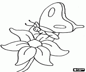 desenho de A borboletinha sobre a flor para colorir