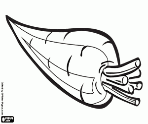 desenho de A cenoura, uma raiz, um vegetal para colorir