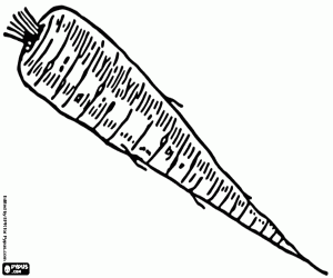 desenho de A chirívia, uma raiz comestível para colorir