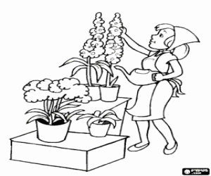 desenho de A florista e suas plantas para colorir