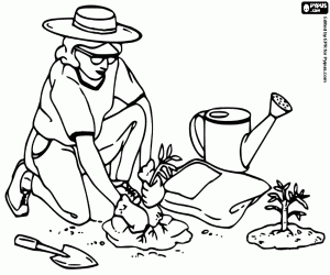 desenho de A jardineira plantando plantas para colorir