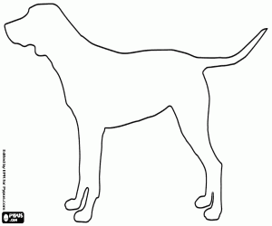 desenho de A silhueta de um cão grande para colorir