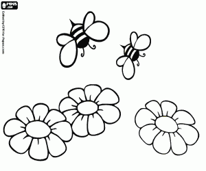desenho de Abelhas e flores, a produção de mel para colorir