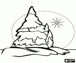 desenho de Abetos de Natal na neve para colorir