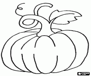 desenho de Abóbora. Cucurbita para colorir