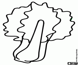 desenho de O acelga, uma planta comestível para colorir