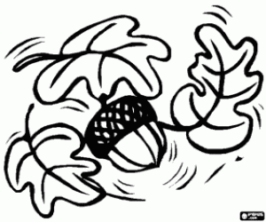 desenho de Algumas folhas de Carvalho e uma bolota para colorir