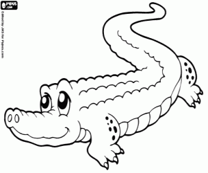 desenho de Alligator para colorir