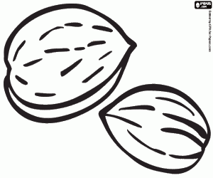 desenho de Amêndoas, ingrediente culinário para colorir