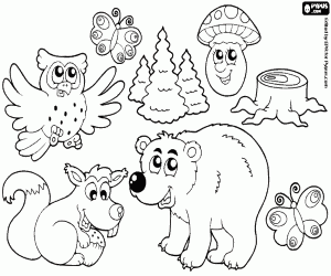 desenho de Animais e vegetação da floresta para colorir