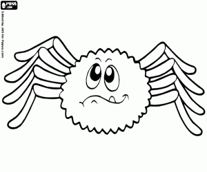 desenho de Aranha do deserto para colorir