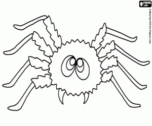 desenho de Aranha para colorir