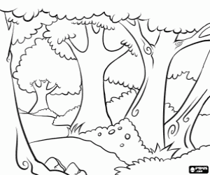 desenho de As árvores de uma floresta para colorir