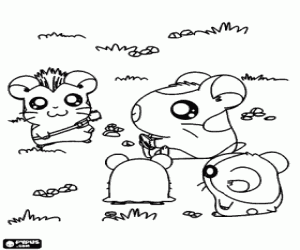 desenho de Aventuras de Hamtaro e Ham-Ham para colorir